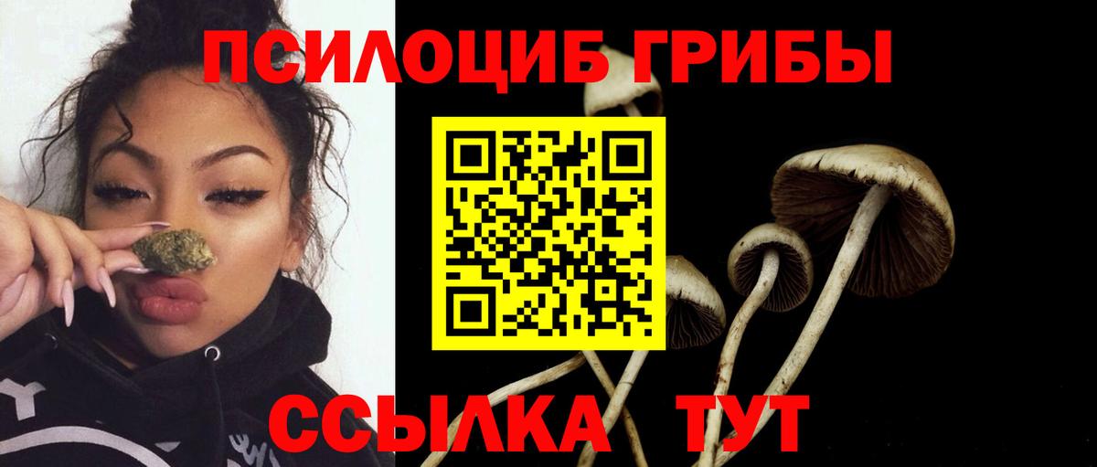 Галлюциногенные грибы Psilocybe  Вход с VPN  Карачаевск 
